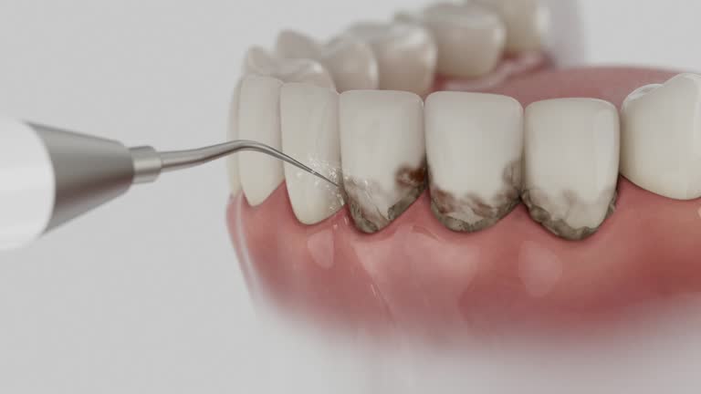 Reliable Dental contractor in New Paris, OH by Dentist Open Now